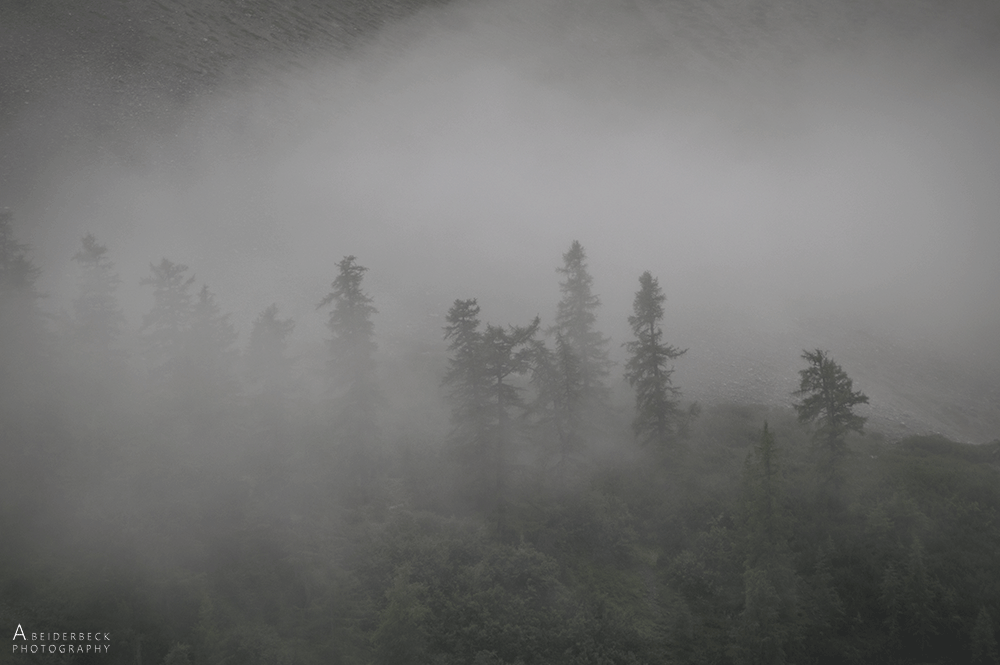 Alpenüberquerung_Nebel