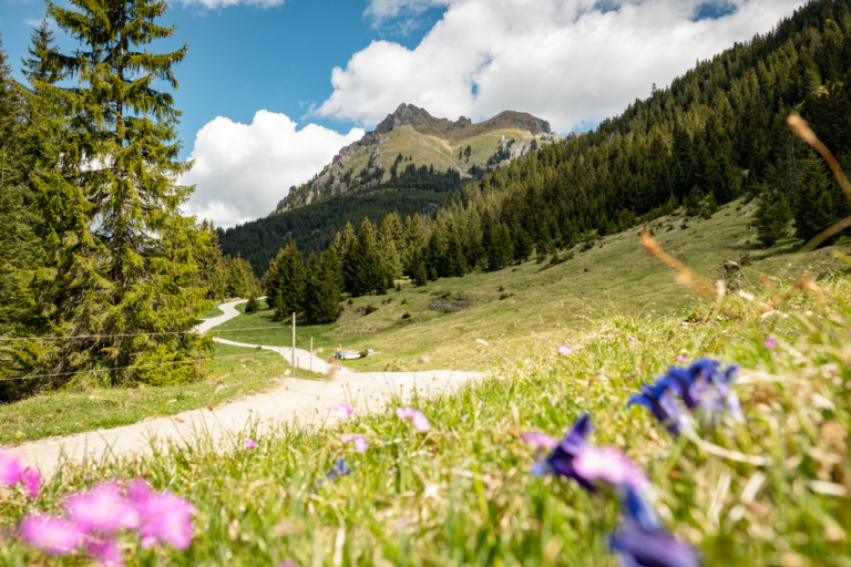 Wanderung auf den Aggenstein im Tannheimer Tal-2