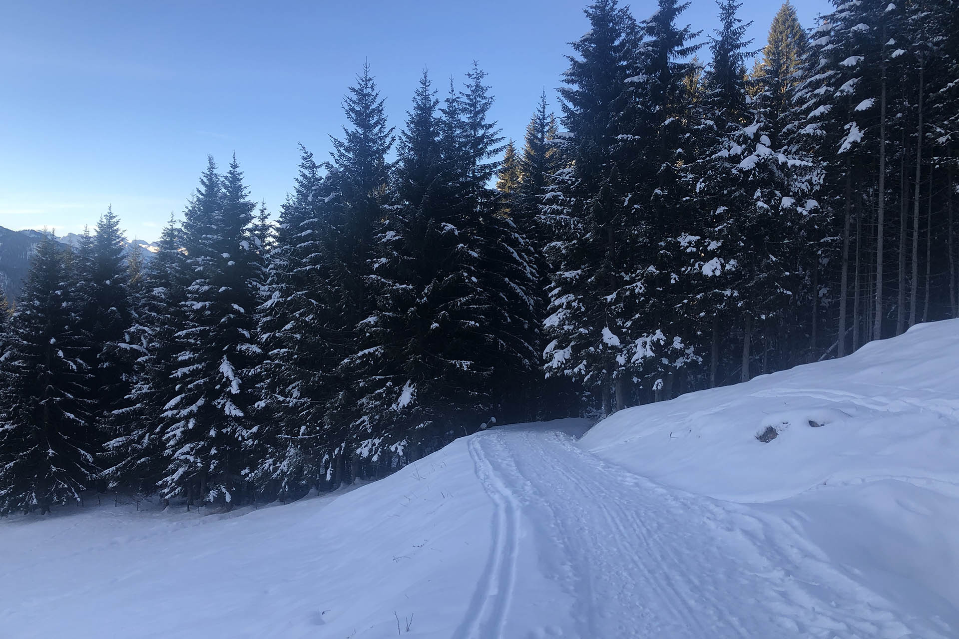 Winter-Wanderung auf den Hirschberg in Bad Hindelang im Allgäu