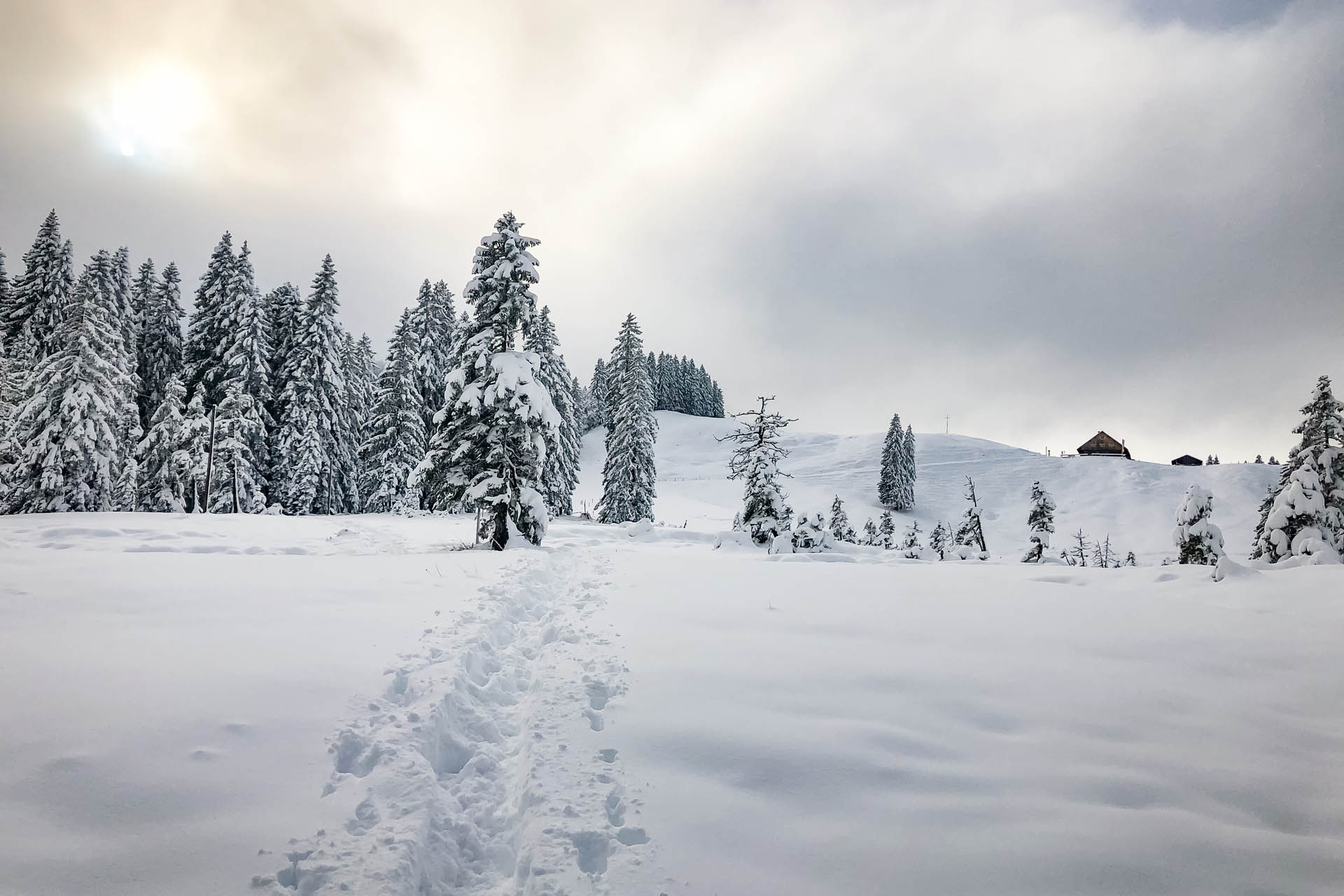 Stuiben - Schneeschuhwanderung ab Immenstadt im Allgäu