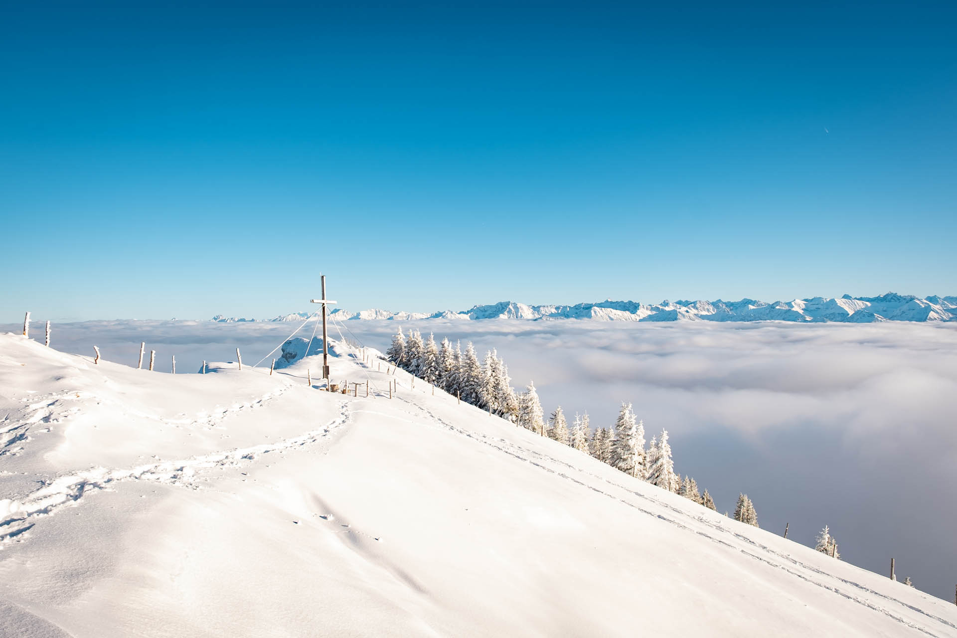 Stuiben - Schneeschuhwanderung ab Immenstadt im Allgäu