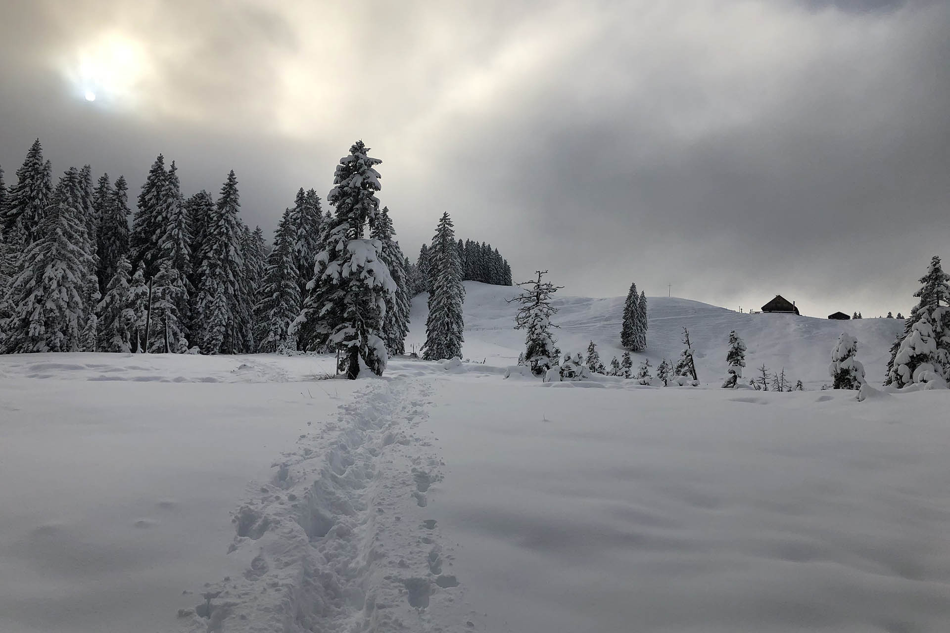 Winterlandschaft Mittelberg Alpe Nagelfluhkette Allgäu Winter