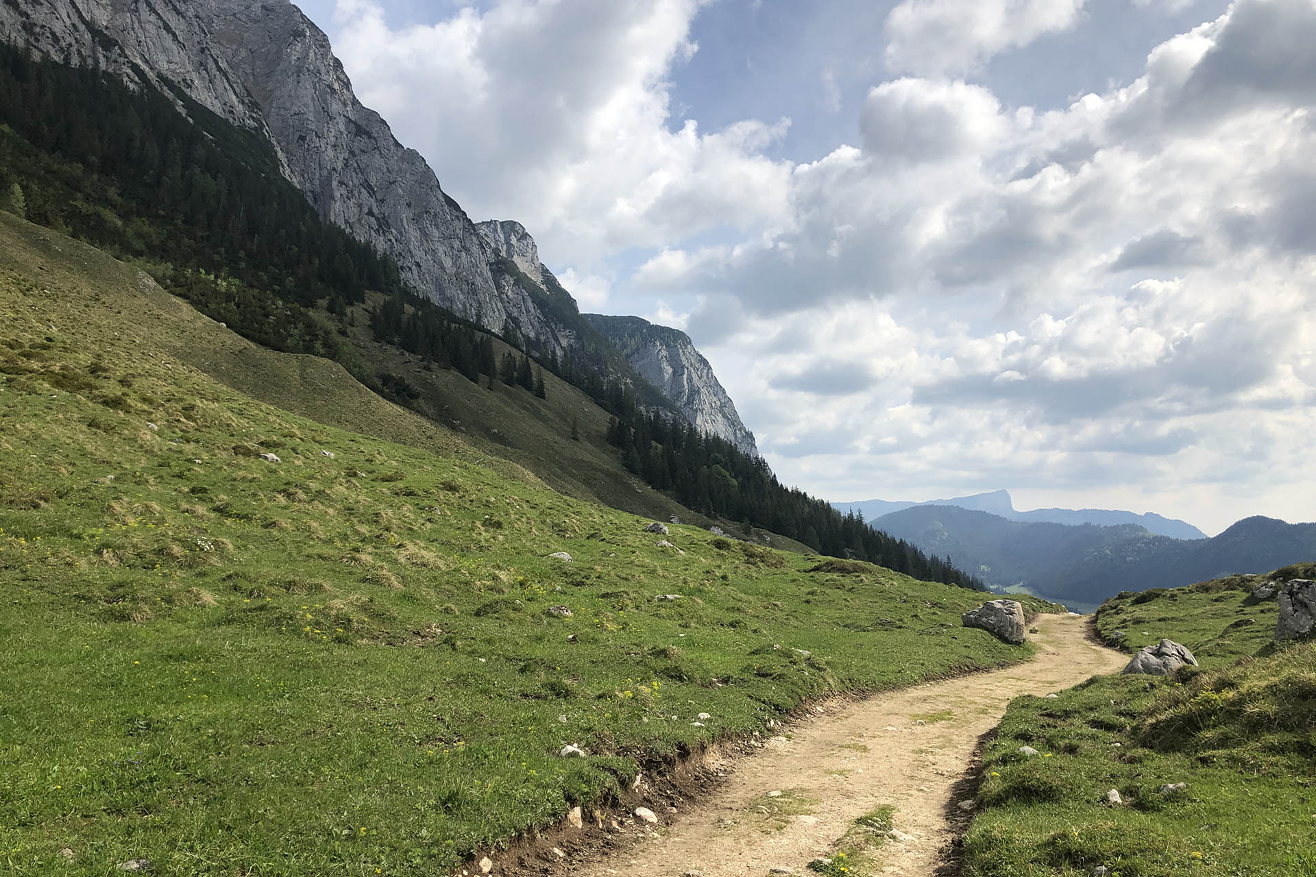 Forstweg zur Halsalm in Berchtesgaden