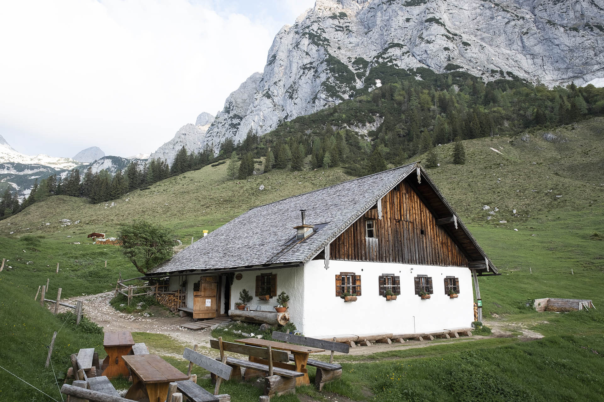 Halsalm Berchtesgaden Ramsau web