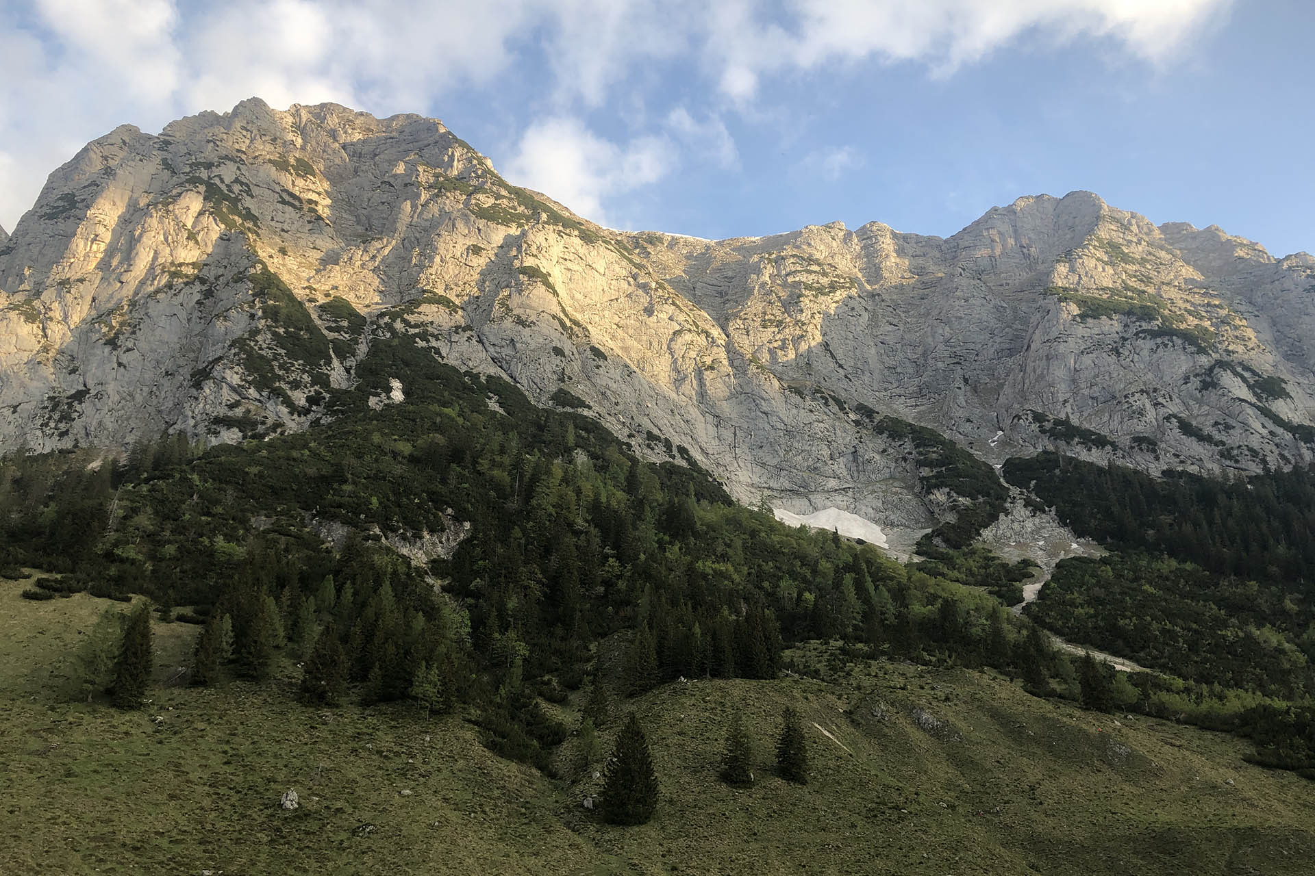Hohes Gerstfeld von der Halsalm im Nationalpark Berchtesgaden