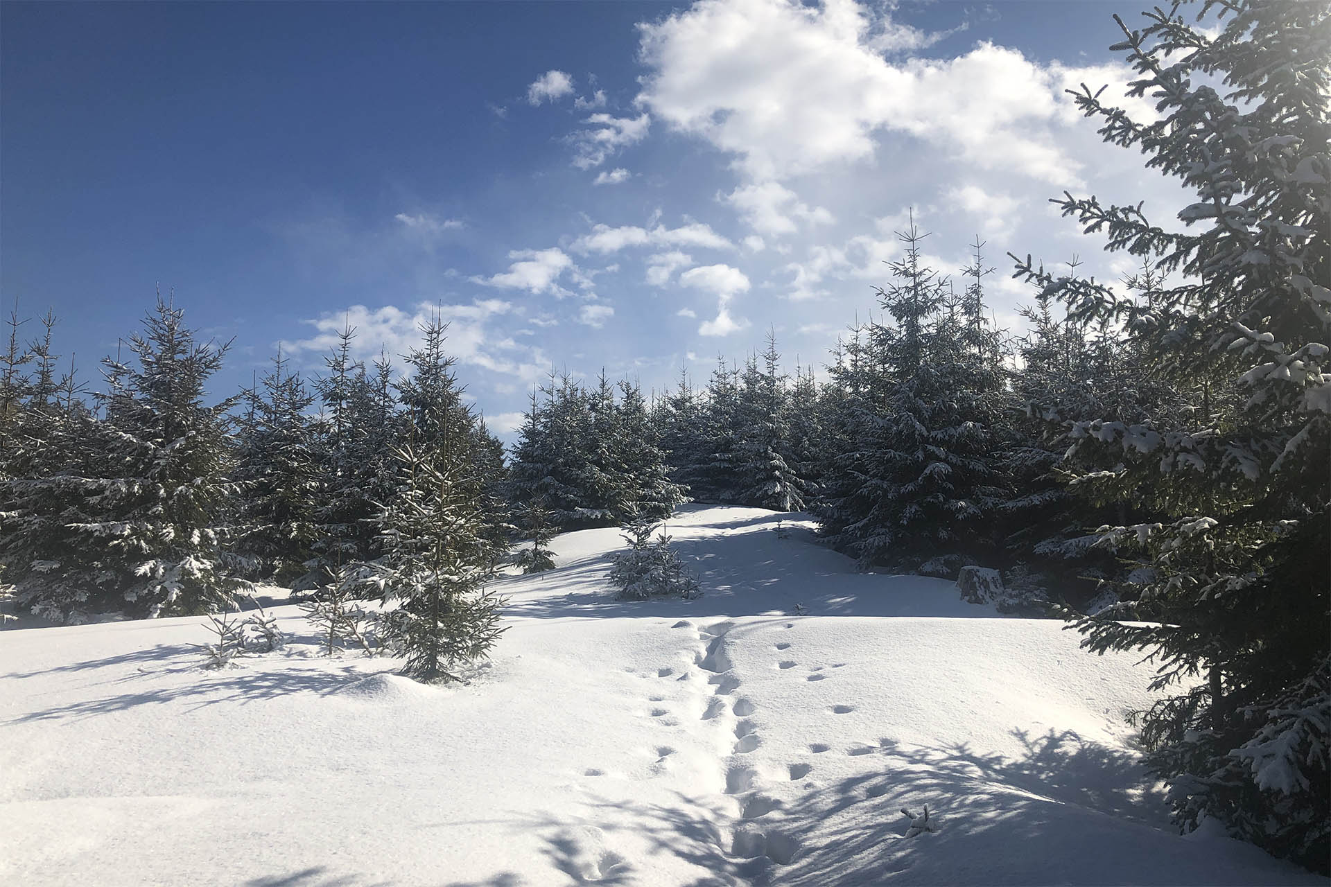 Aufstieg zur Reuterwanne - Winter Wunderland Allgäu