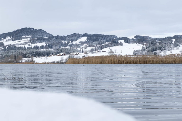 Niedersonthofener See im Winter