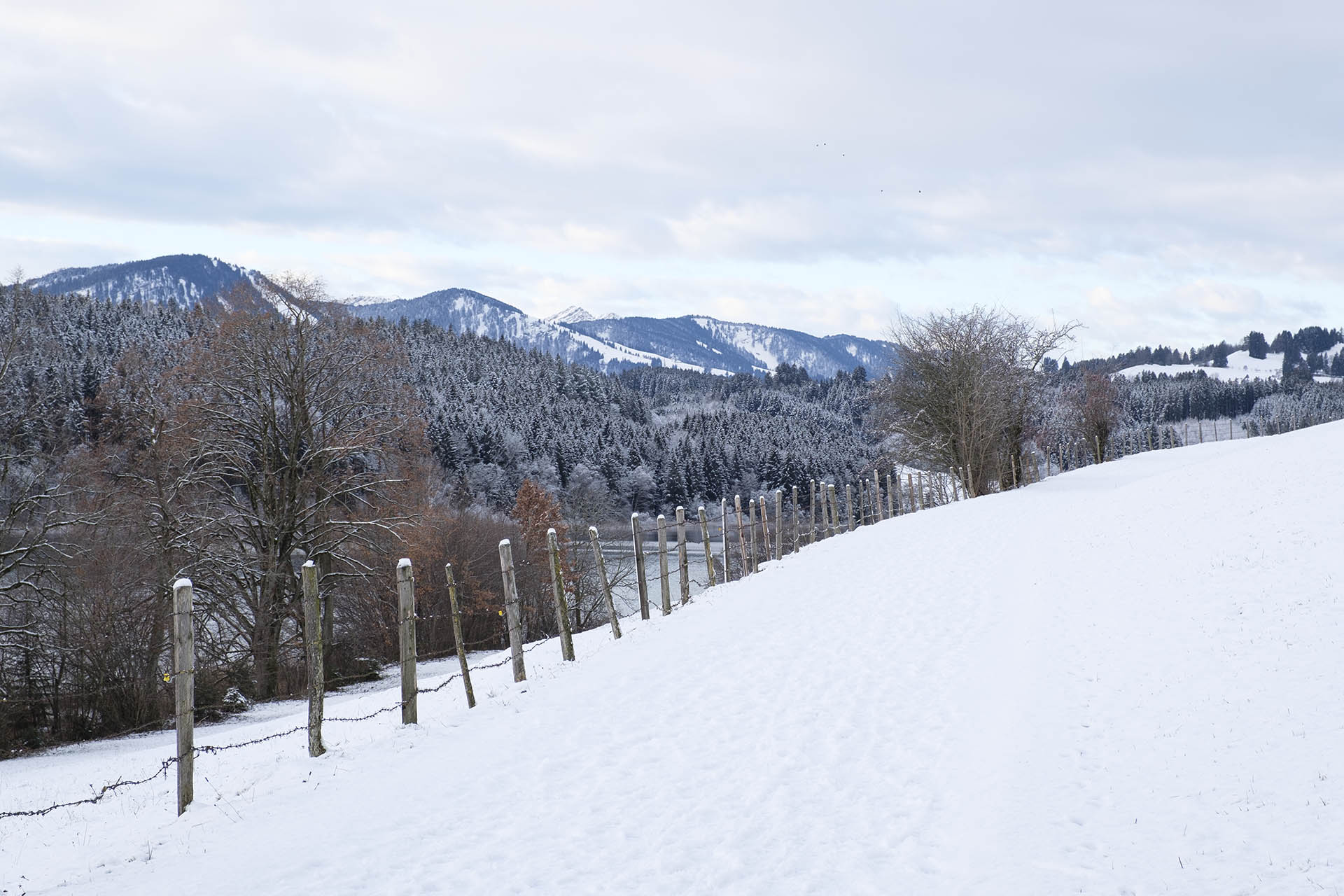 Winterlicher Spaziergang um den Niedersonthofener See