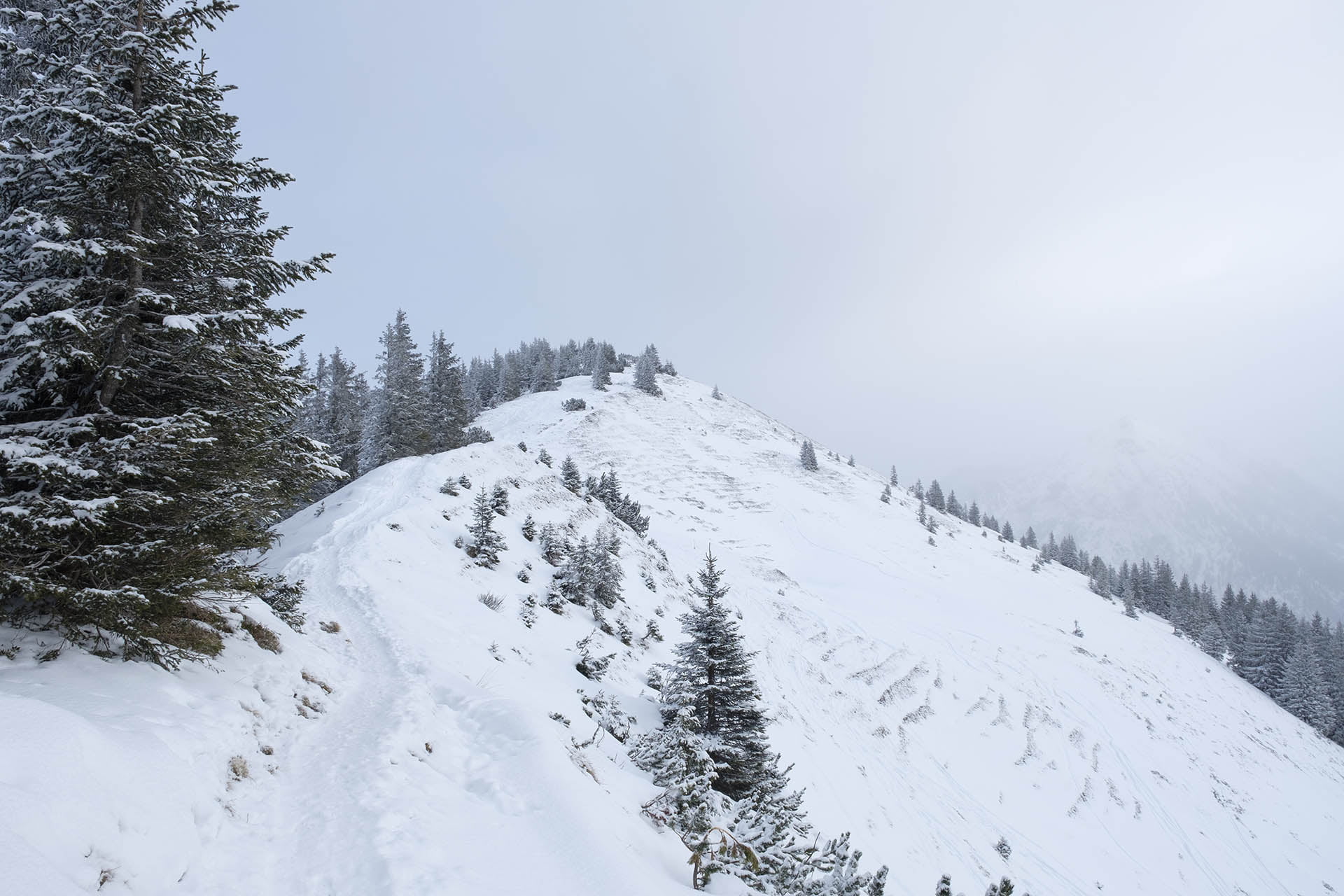 Abstieg vom Schnippenkopf im Winter