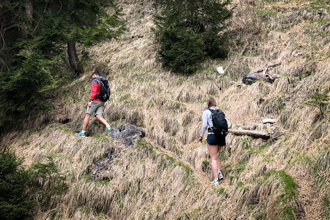 Wanderung-über-den Kienberg-Grat Aufstieg-Wanderpfad