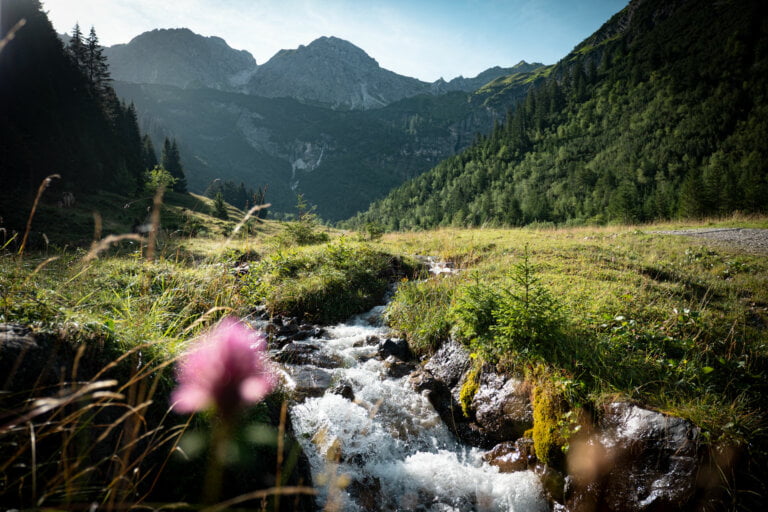 Bergtour-Kemptner-Kopf---Wildentalbach