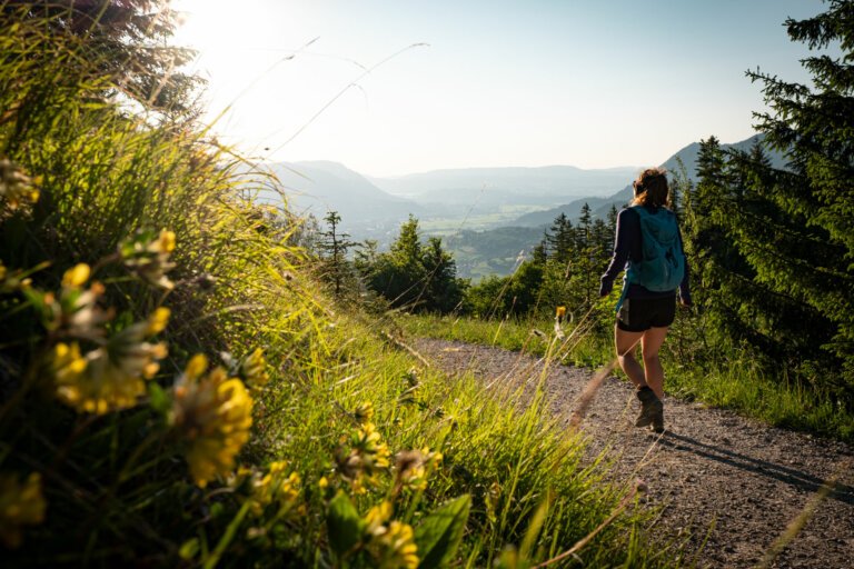 Leichte Wanderung im Allgäu von Imberg auf die Straußbergalpe