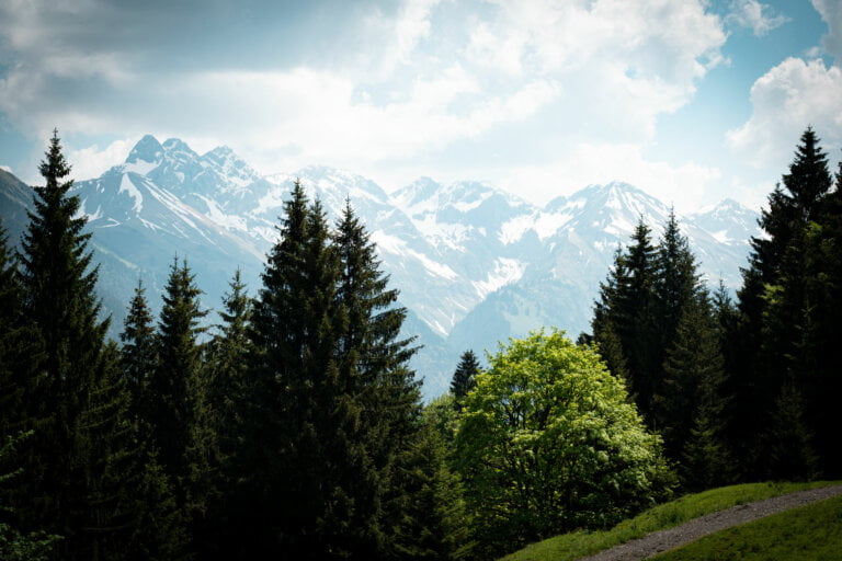 Wanderung Freibergsee und Alpe Hochleite Oberstdorf - Ausblick