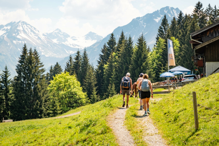 Wanderung Freibergsee und Alpe Hochleite Oberstdorf - Wanderweg Alpe Hochleite