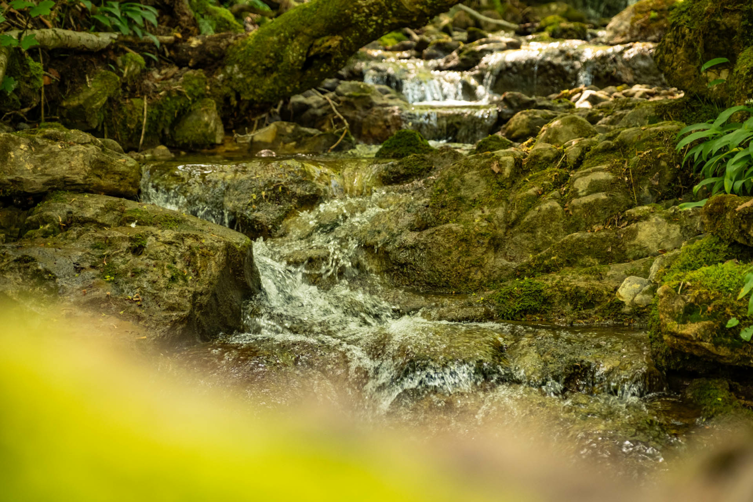 wie kommt man zum freibergsee