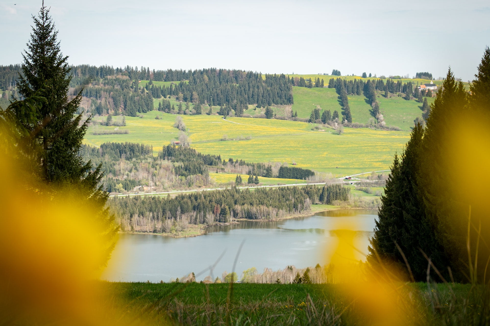 Wanderung vom Grüntensee auf die Reuterwanne als Rundtour - Wandern im Allgäu