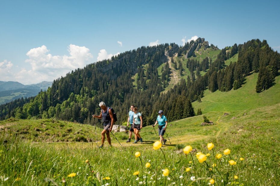Wandern in Gunzesried - Wanderung aufs Bärenköpfle und zur Alpe Oberberg im Allgäu