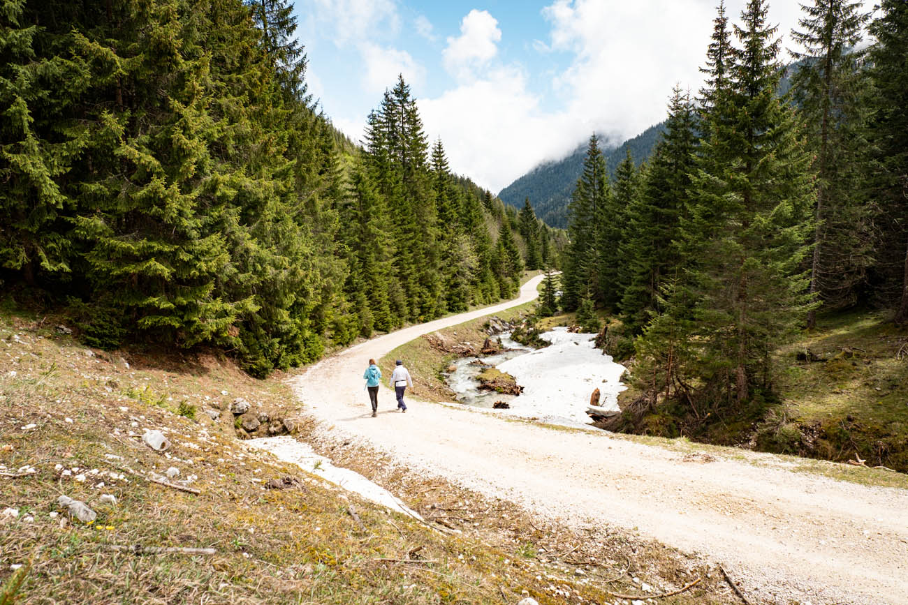 Wanderung zur Musauer Alm ins Tiroler Raintal entlang des Sababachs