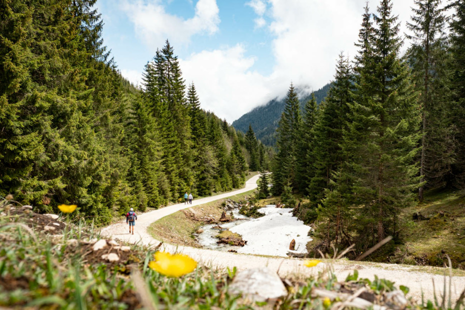 Wanderung zur Musauer Alm ins Tiroler Raintal entlang des Sababachs