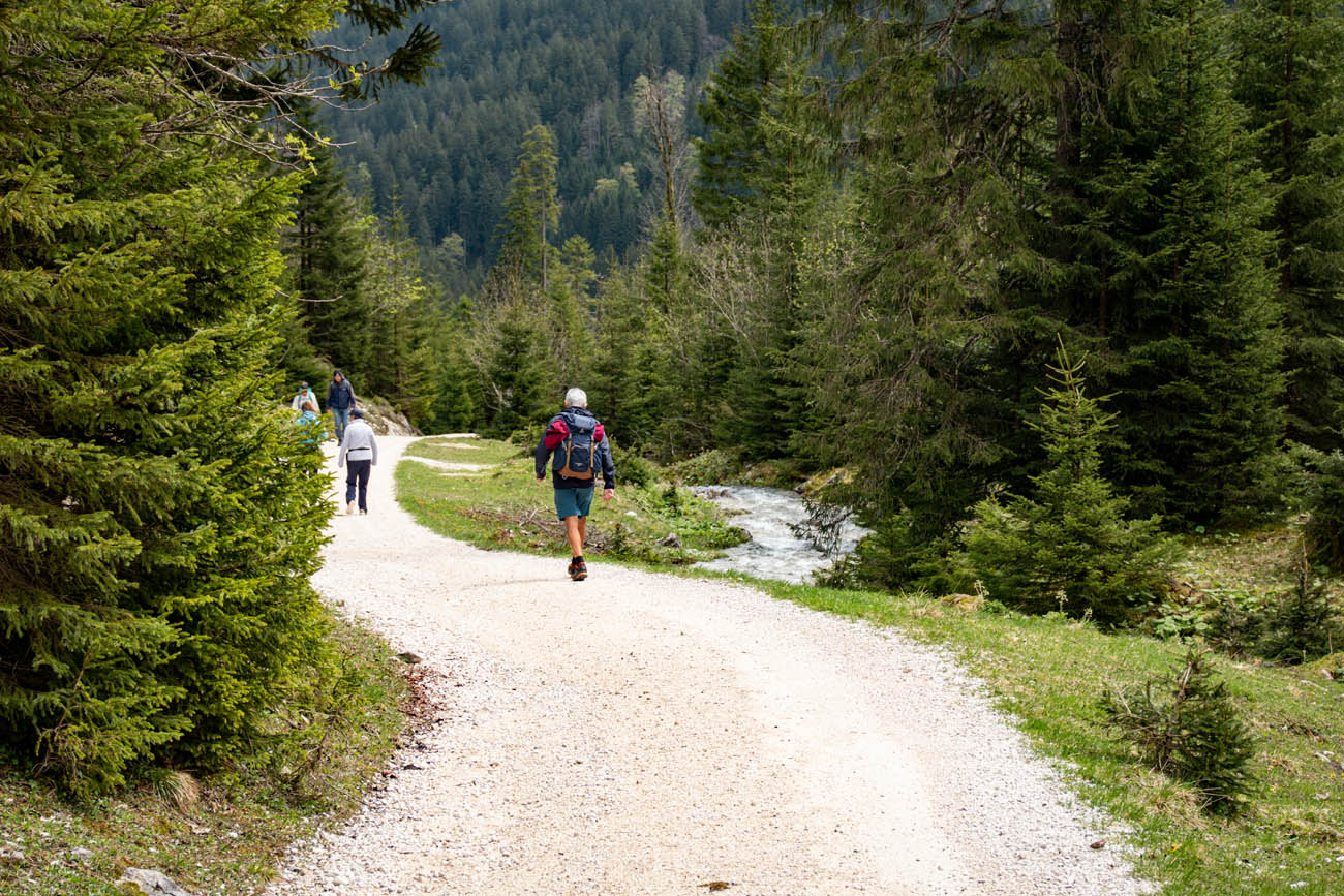 Wanderung zur Musauer Alm ins Tiroler Raintal entlang des Sababachs