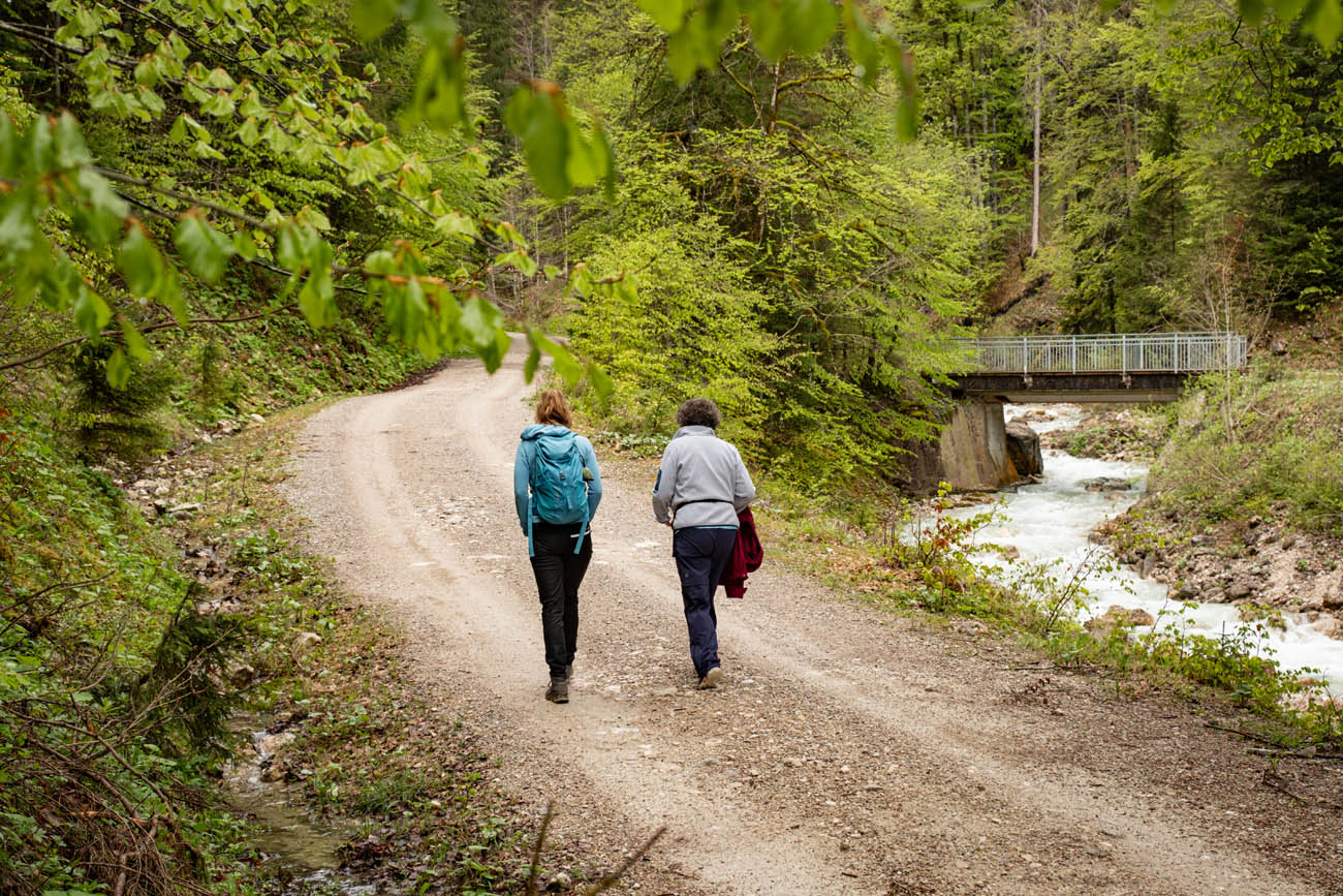 Wanderung zur Musauer Alm ins Tiroler Raintal entlang des Sababachs