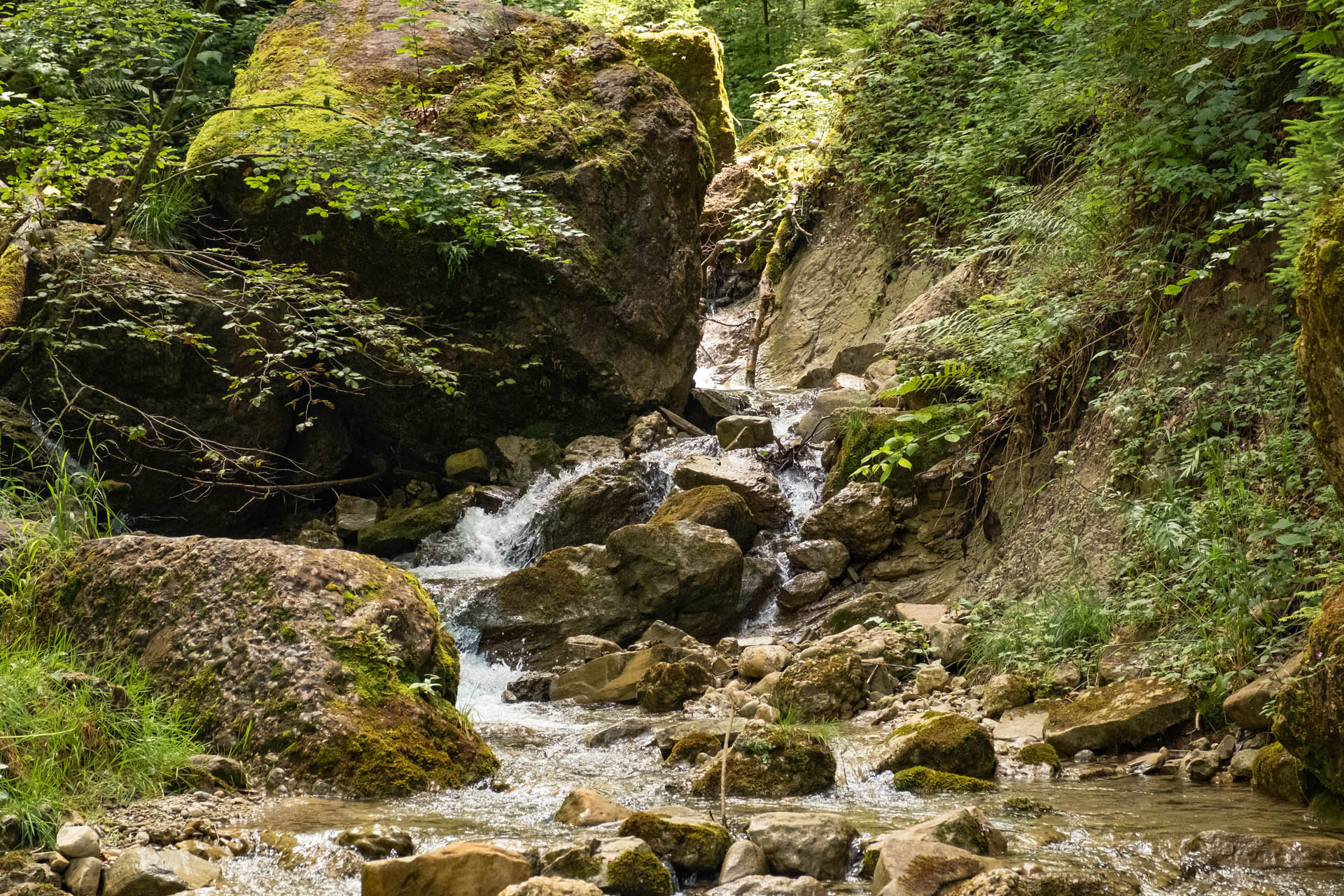 Wanderung auf den Hochgrat bei Oberstaufen