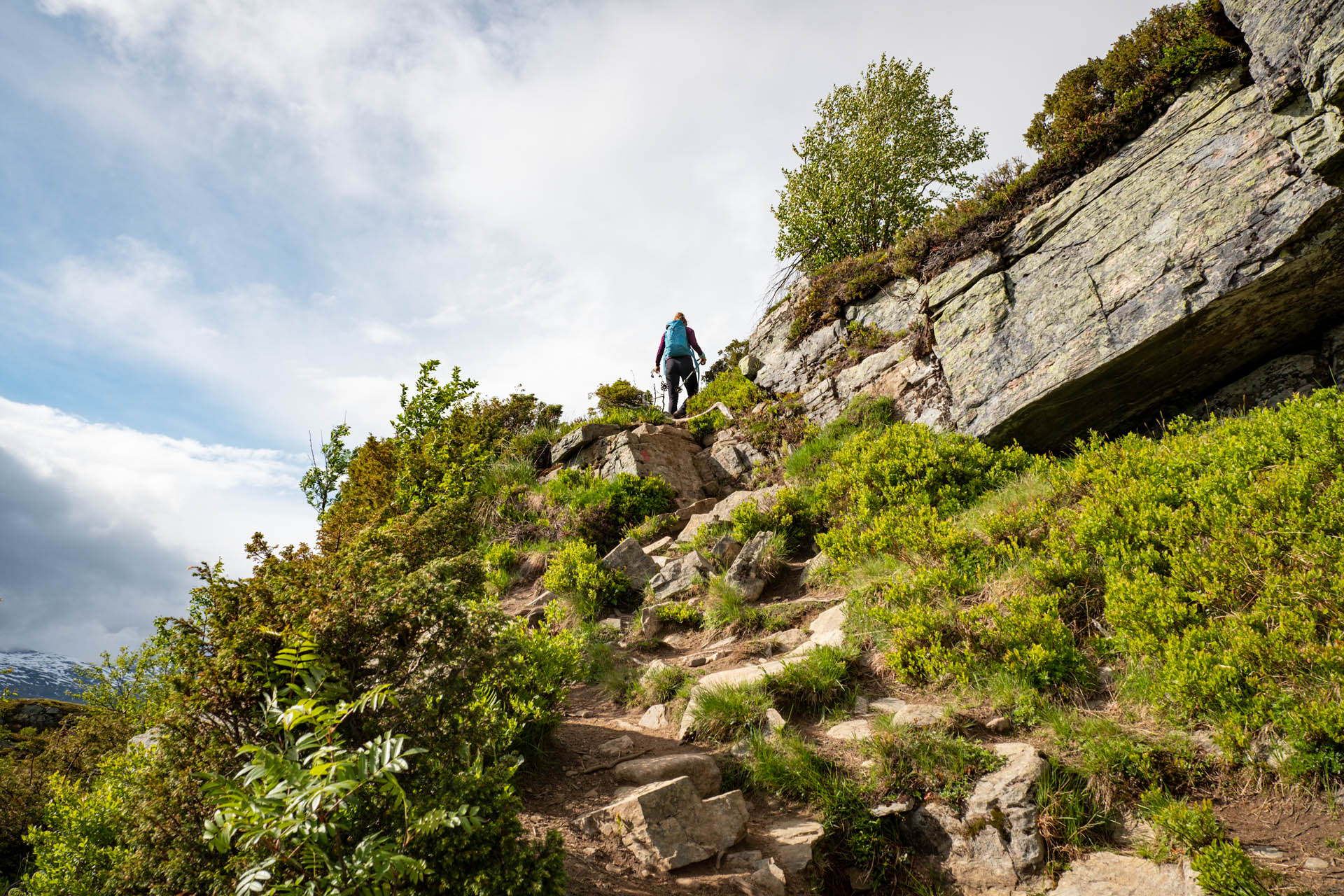 Wanderung auf den Molden bei Mollandsmarki - Luster in Norwegen