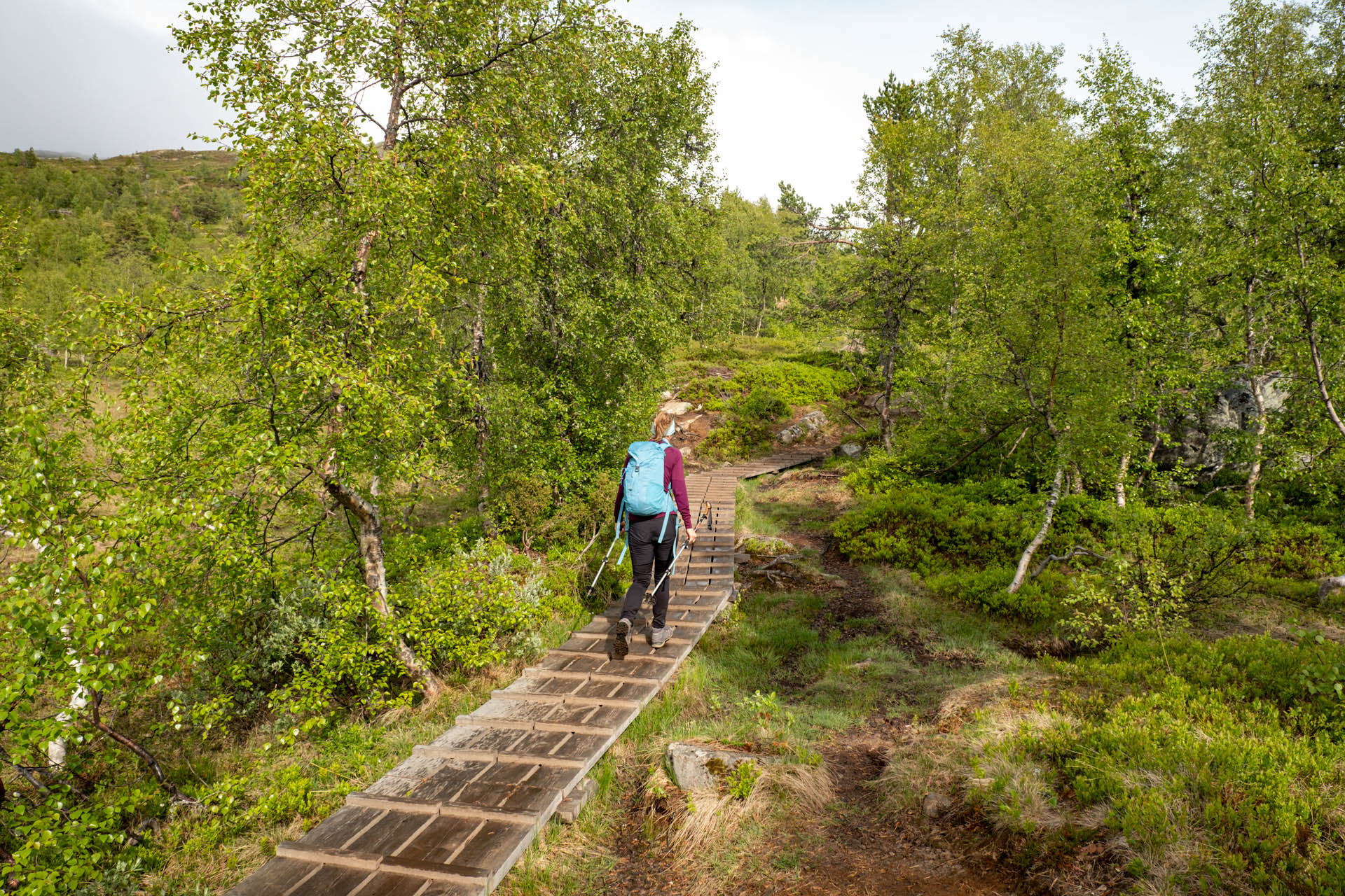 Wanderung auf den Molden bei Mollandsmarki - Luster in Norwegen