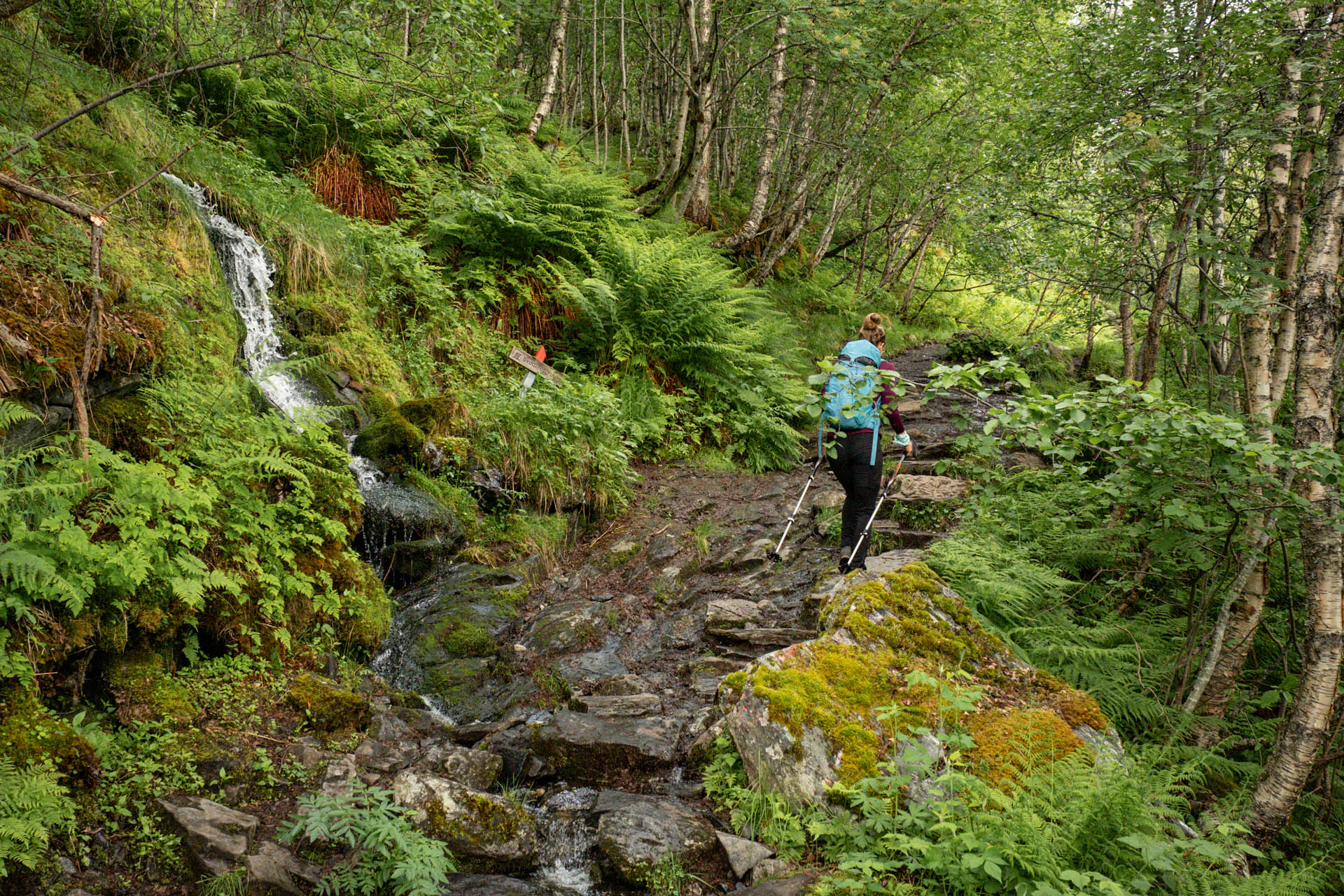 Wanderung in Geiranger zur Homlongsætra Alm