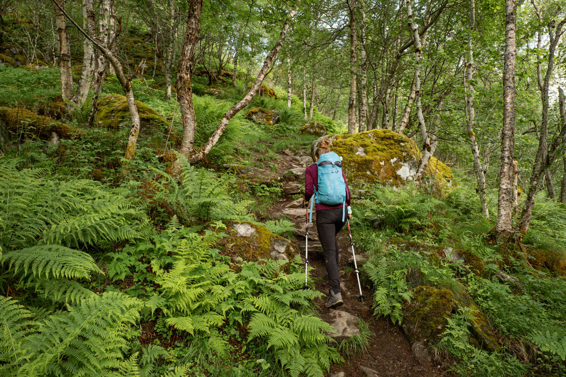 Wanderung in Geiranger zur Homlongsætra Alm