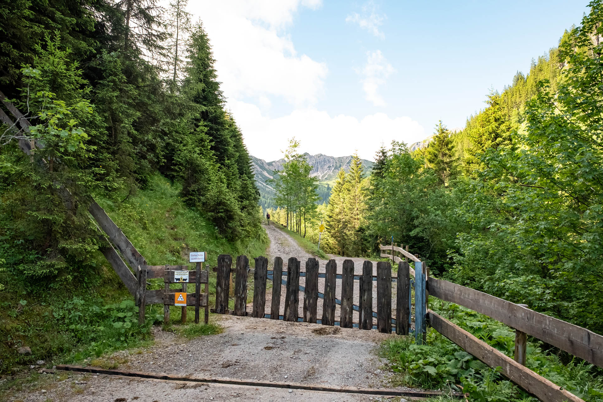 Wanderung vom Haldensee auf die Krinnenspitze und die Gräner Ödenalpe im Tannheimer Tal