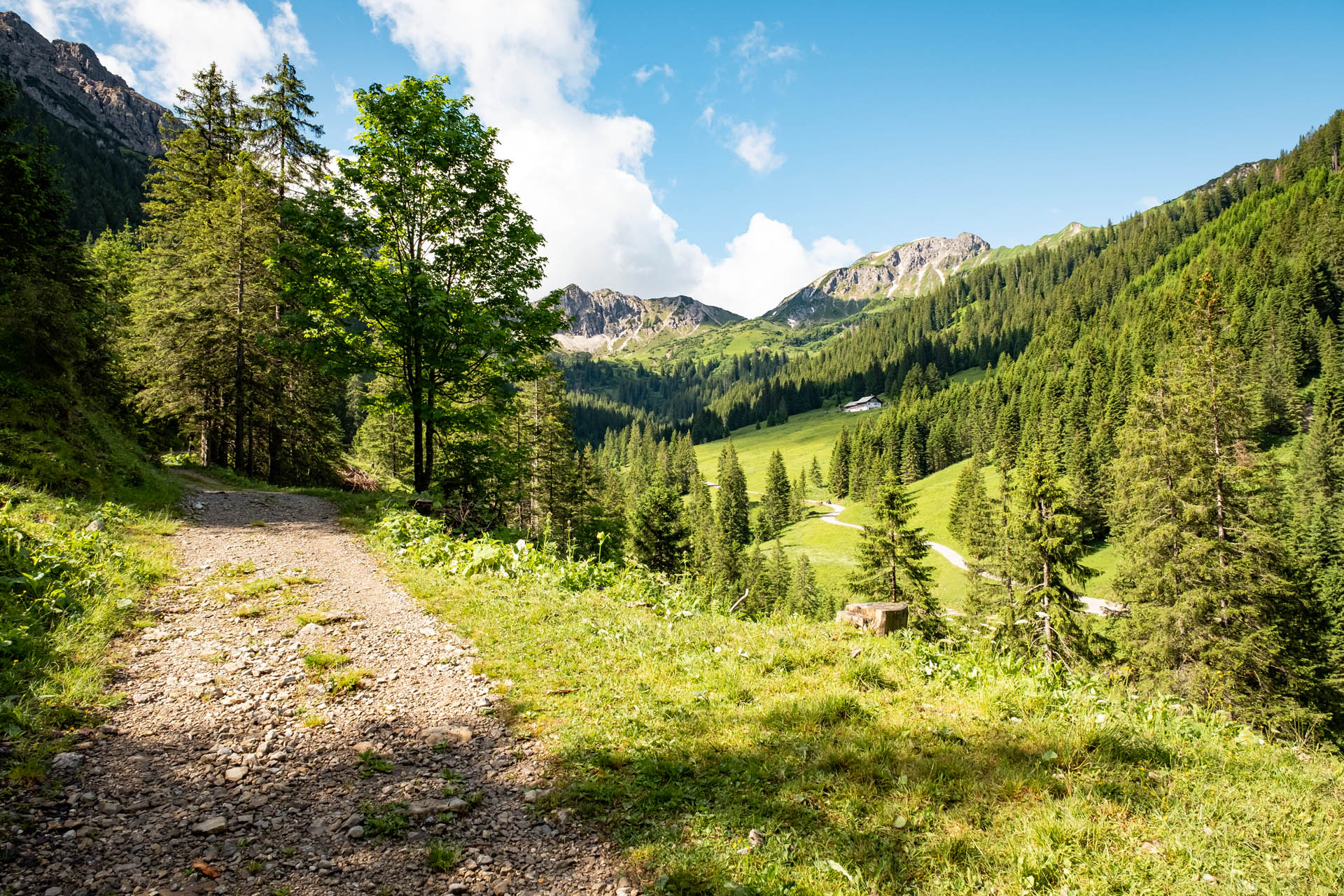 Wanderung vom Haldensee auf die Krinnenspitze und die Gräner Ödenalpe im Tannheimer Tal