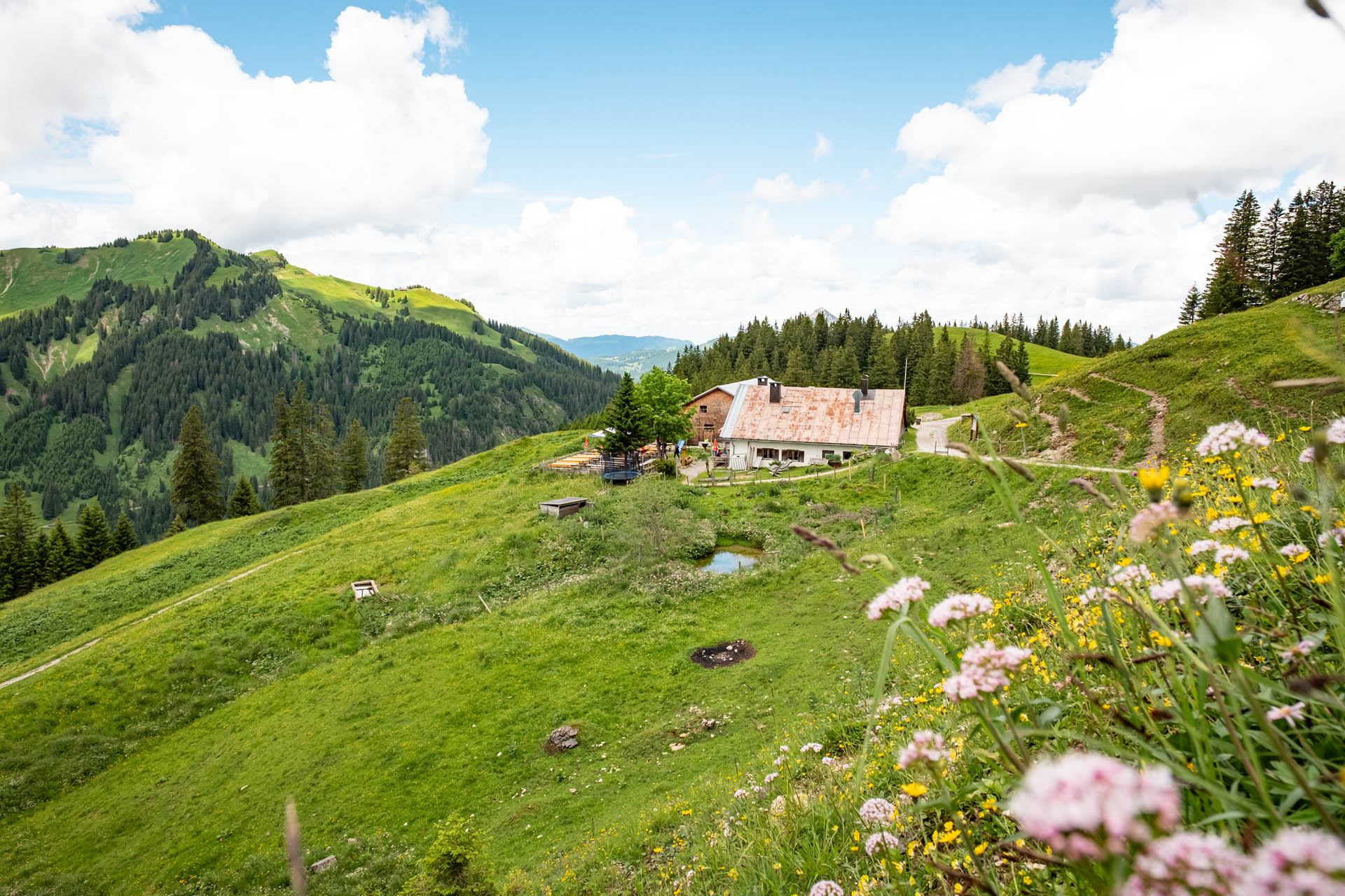 Wanderung vom Haldensee auf die Krinnenspitze und die Gräner Ödenalpe im Tannheimer Tal