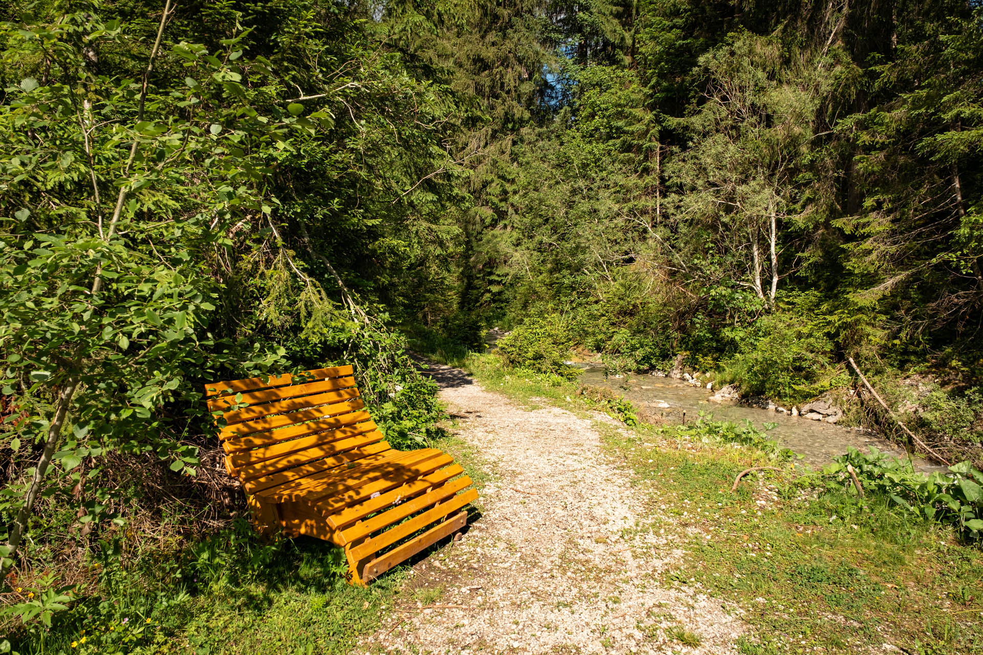 Wanderung vom Haldensee auf die Krinnenspitze und die Gräner Ödenalpe im Tannheimer Tal