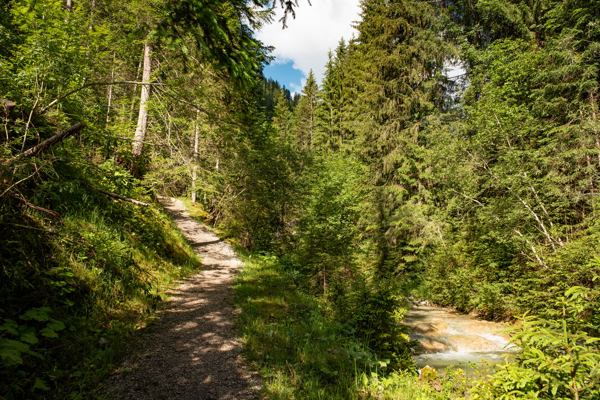 Wanderung vom Haldensee auf die Krinnenspitze und die Gräner Ödenalpe im Tannheimer Tal