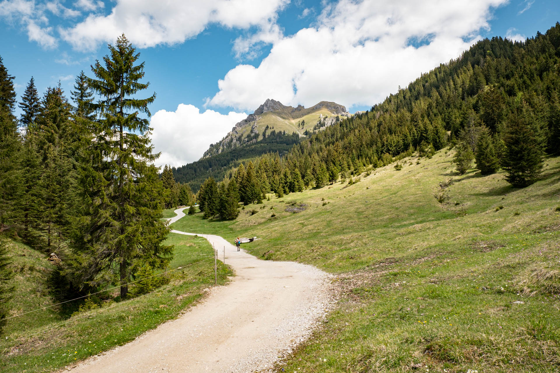 Wanderung von Grän aufs Brentenjoch im Tannheimer Tal