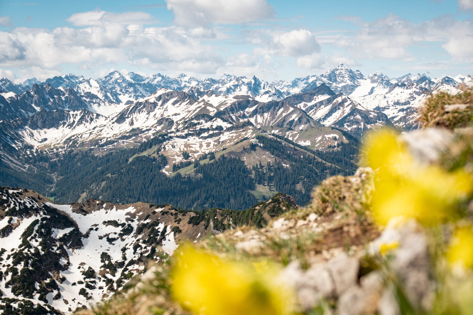 Wanderung von Grän aufs Brentenjoch im Tannheimer Tal