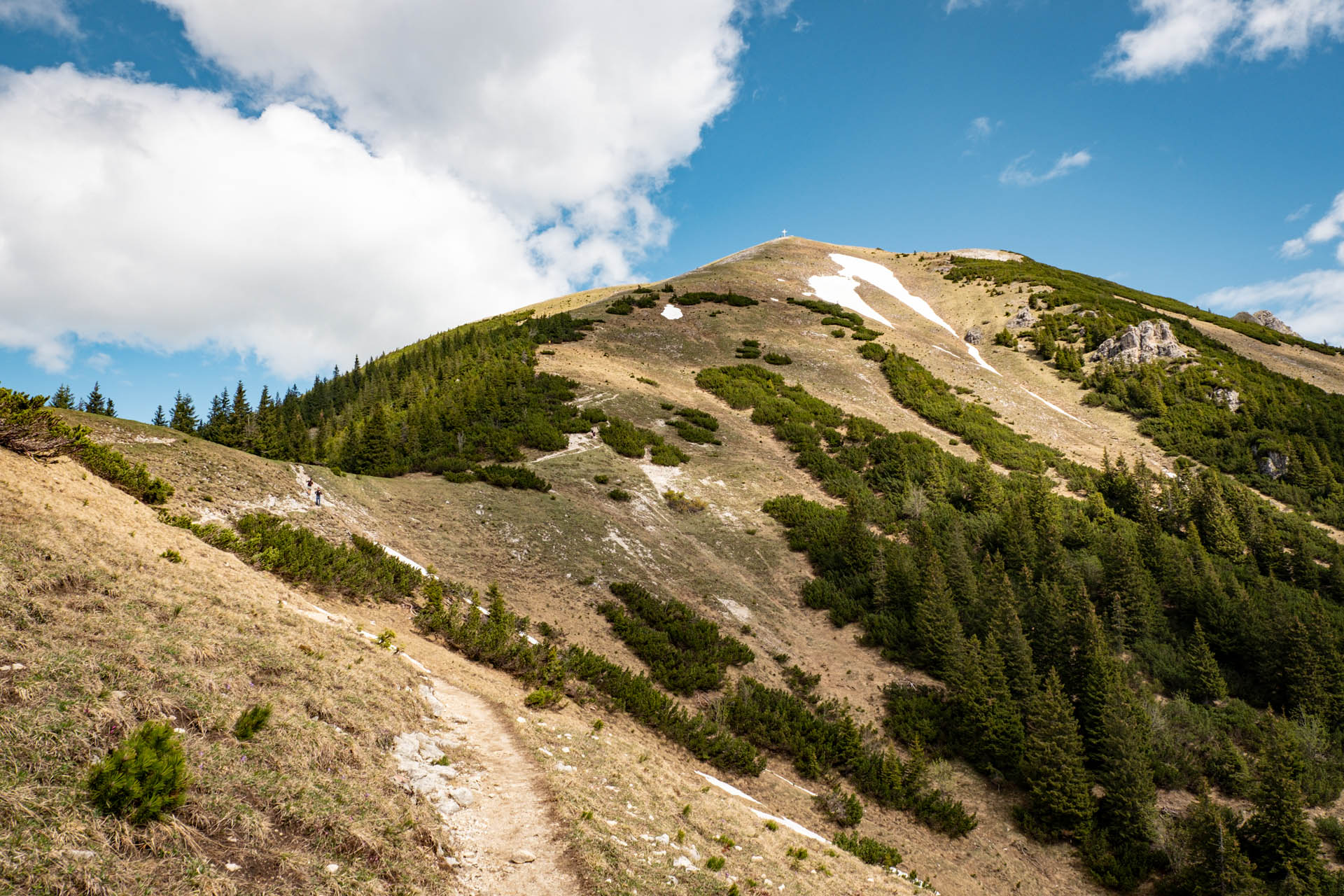 Wanderung von Grän aufs Brentenjoch im Tannheimer Tal