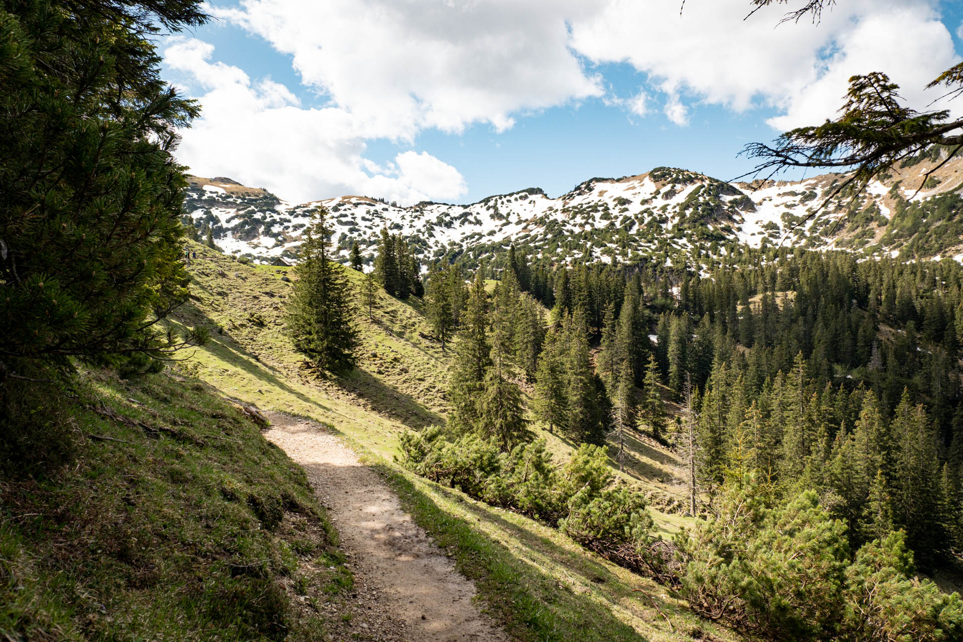 Wanderung von Grän aufs Brentenjoch im Tannheimer Tal