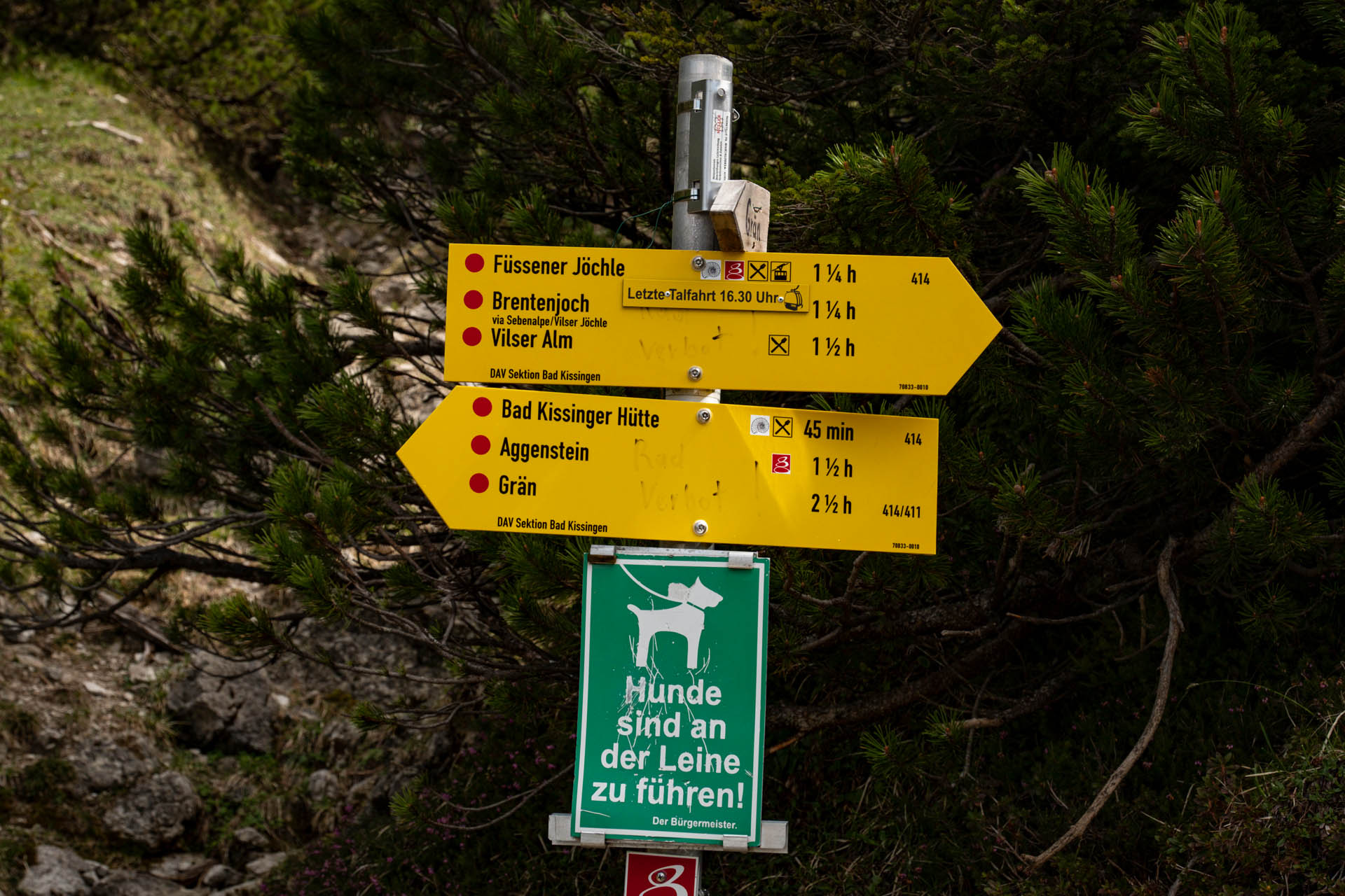 Wanderung von Grän aufs Brentenjoch im Tannheimer Tal