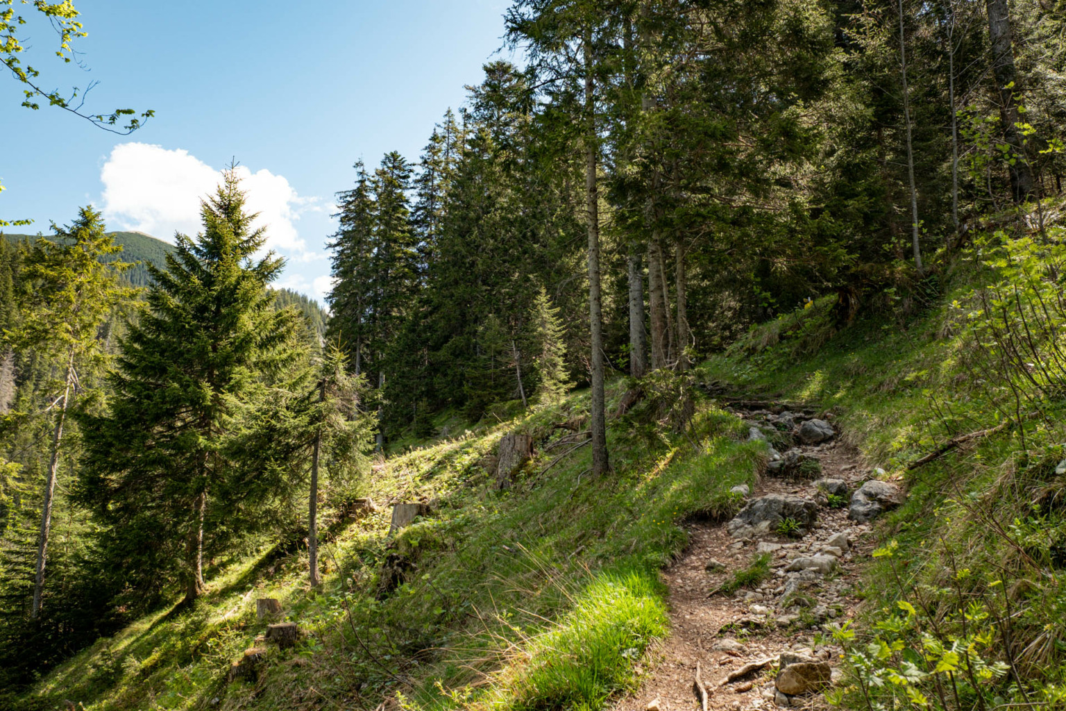 Brentenjoch - Wanderung ab Grän im Tannheimer Tal