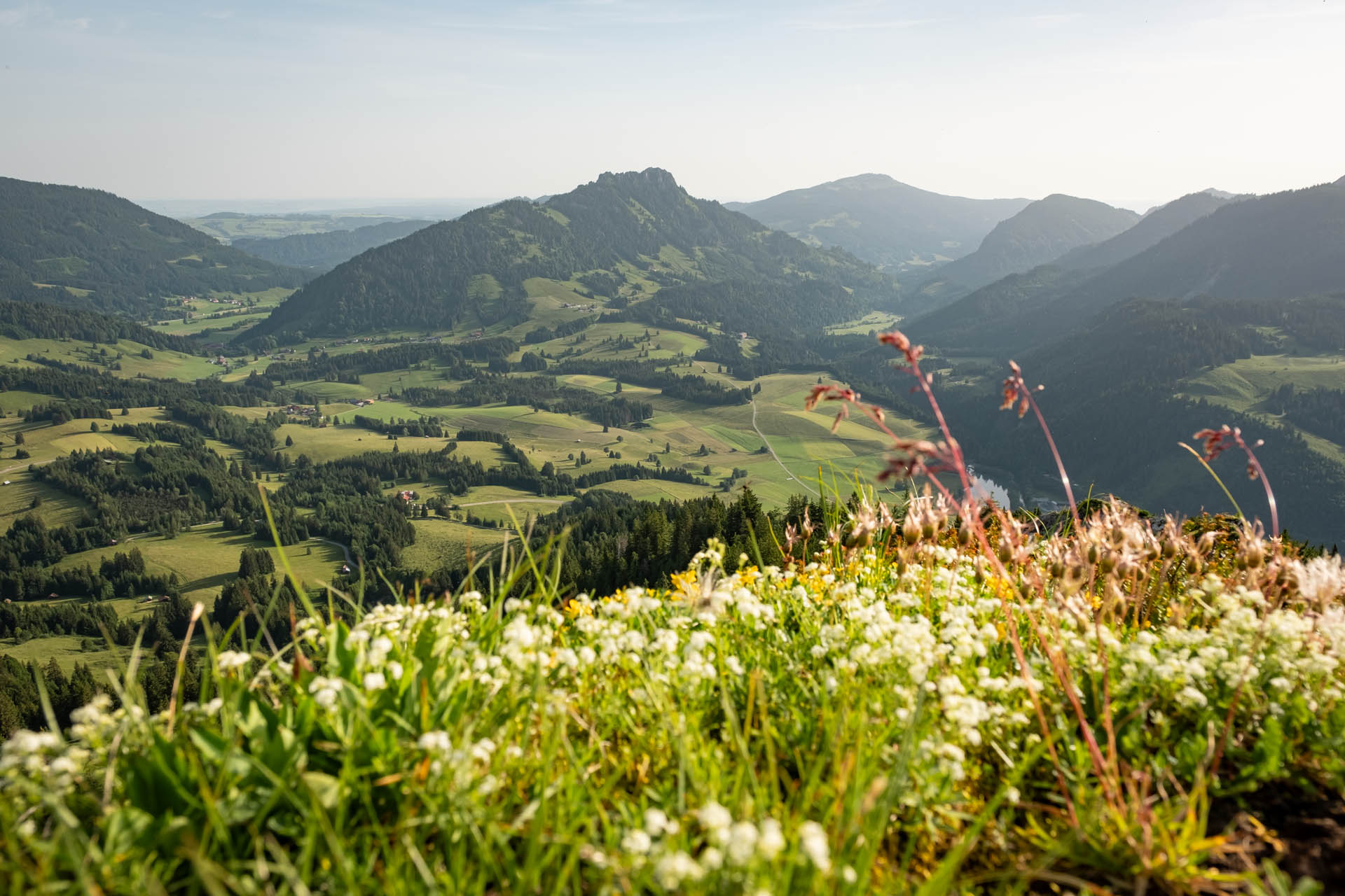 Wanderung von Oberjoch über den Iselergrat auf den Iseler