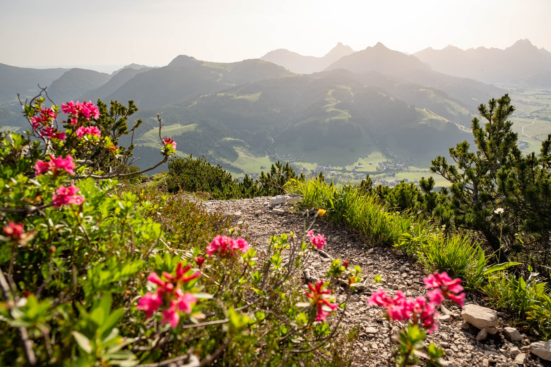 Wanderung von Oberjoch über den Iselergrat auf den Iseler