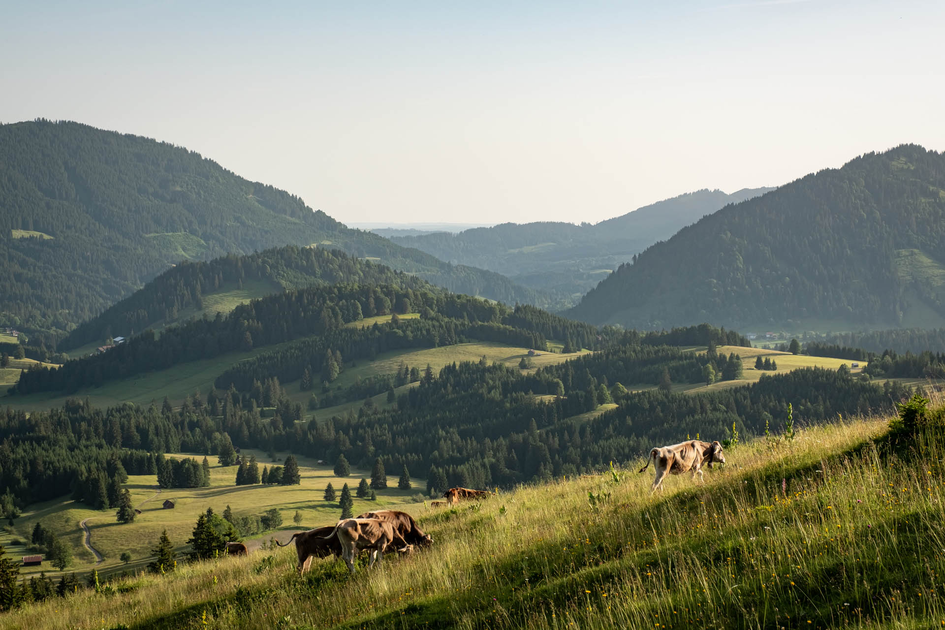 Wanderung von Oberjoch über den Iselergrat auf den Iseler