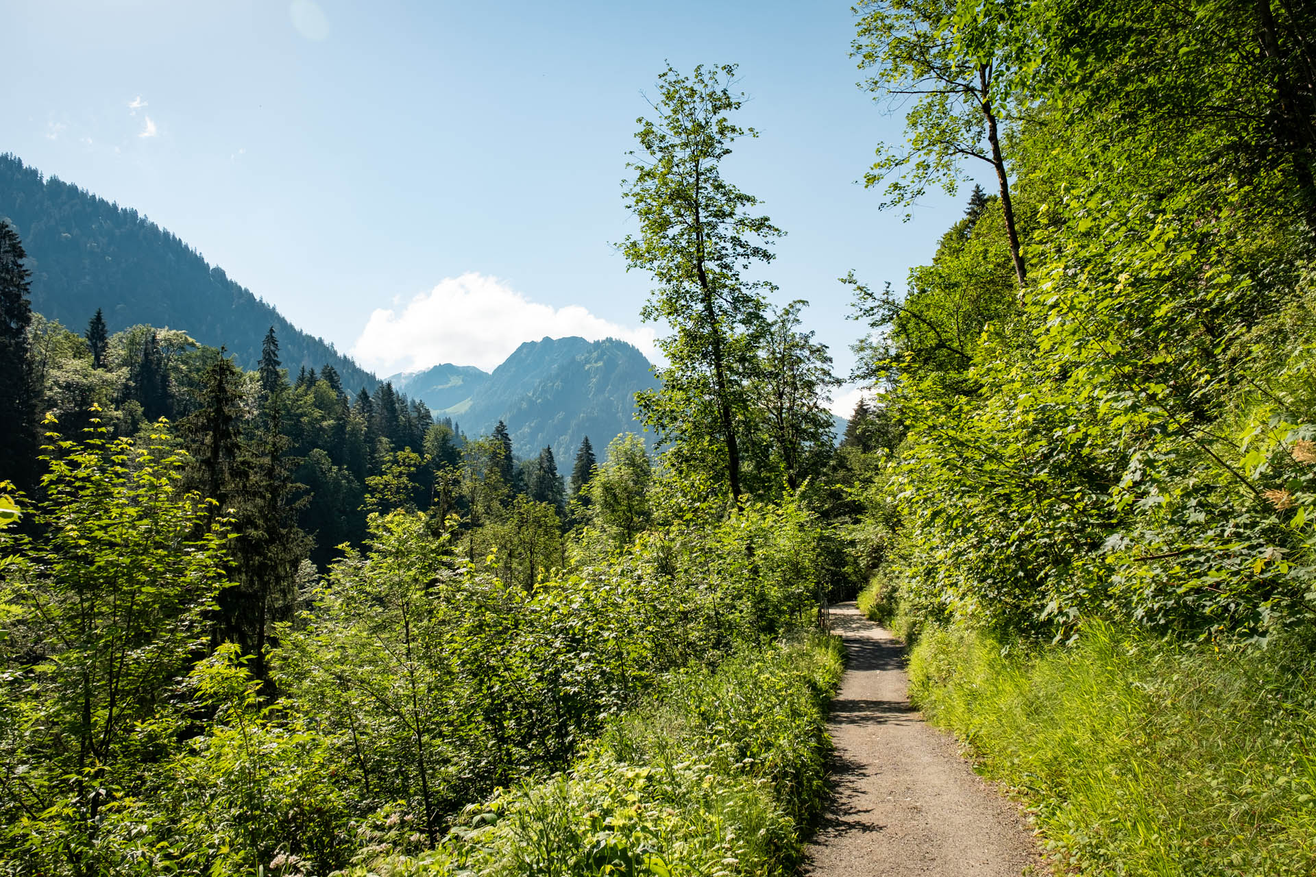 Wanderung von Oberstdorf ins Oytal zur Unteren Gutenalpe