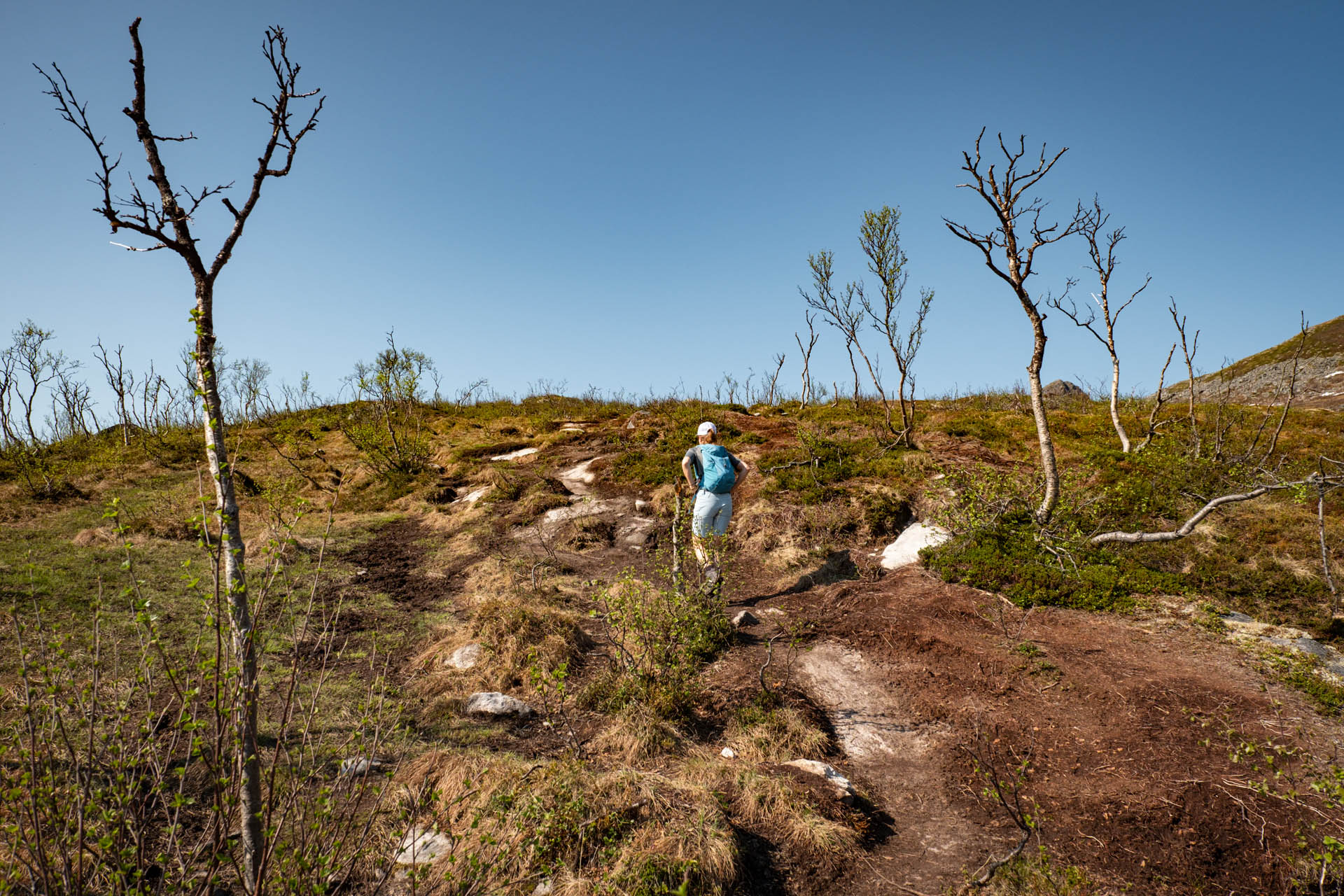 Wanderung von Skaland auf den Husfjellet auf Senja in Norwegen