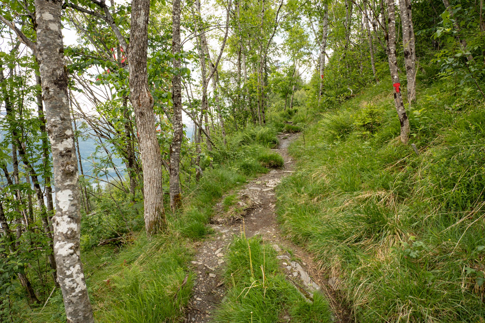 Wanderung von Voss auf den Hangur