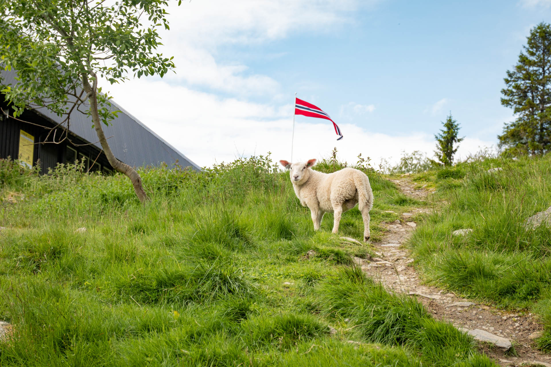 Wanderung von Voss auf den Hangur