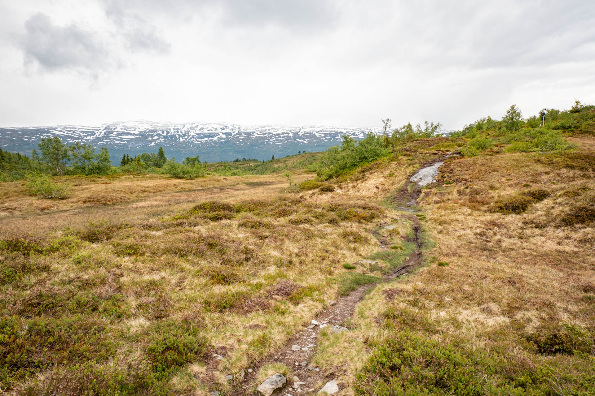 Wanderung von Voss auf den Hangur