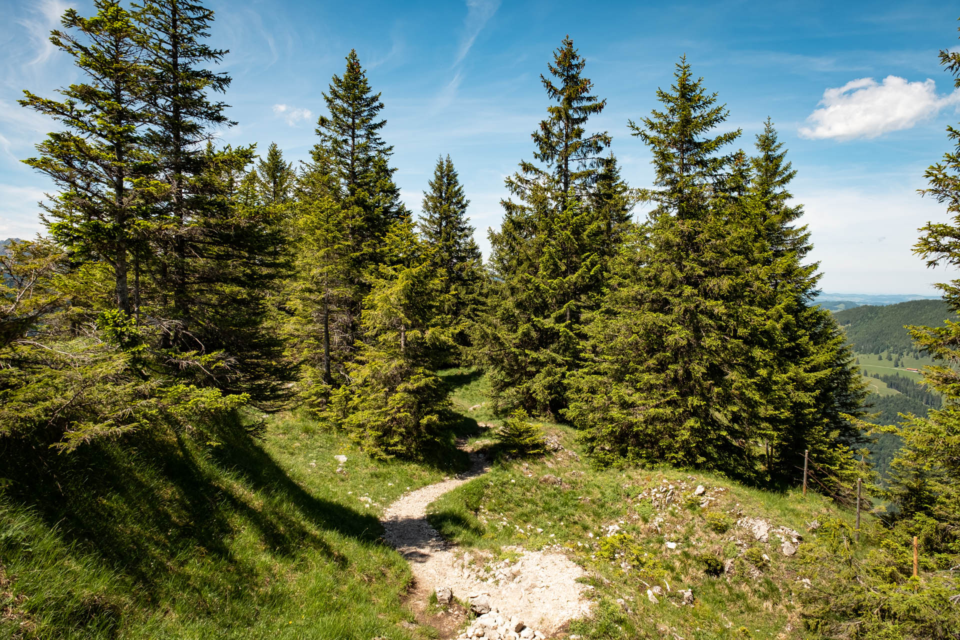 Wanderung von der Fallmühle auf den Breitenberg bei Pfronten im Ostallgäu